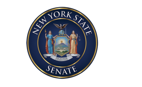 New York State Senate Seal