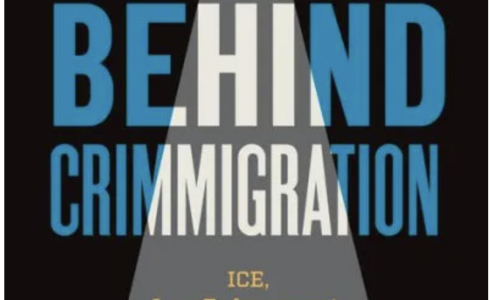 Image of "Behind Crimmigration" book cover